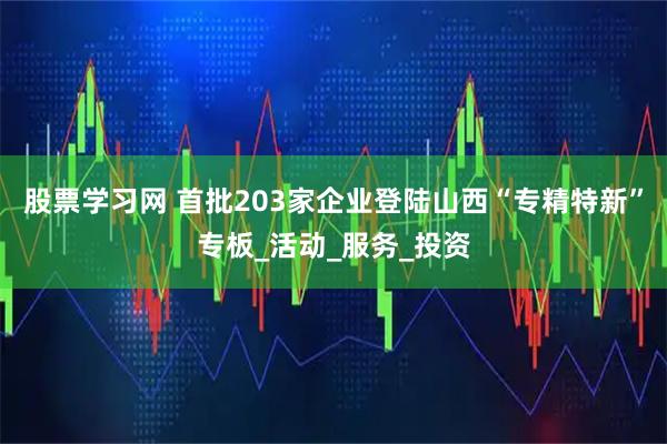 股票学习网 首批203家企业登陆山西“专精特新”专板_活动_服务_投资