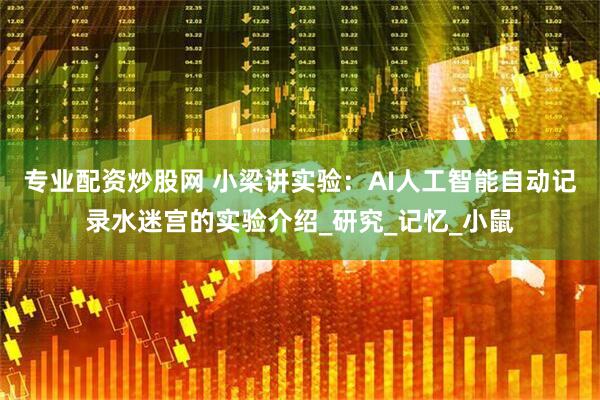 专业配资炒股网 小梁讲实验：AI人工智能自动记录水迷宫的实验介绍_研究_记忆_小鼠