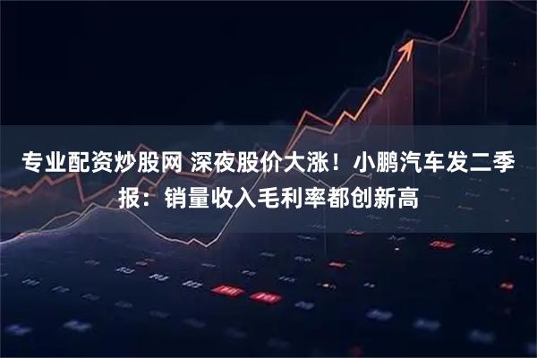 专业配资炒股网 深夜股价大涨！小鹏汽车发二季报：销量收入毛利率都创新高